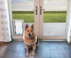 Doors with Dog Doors: Convenience and Safety for Your Pets